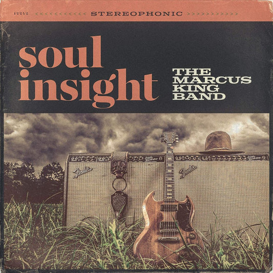 Soul Insight cover art