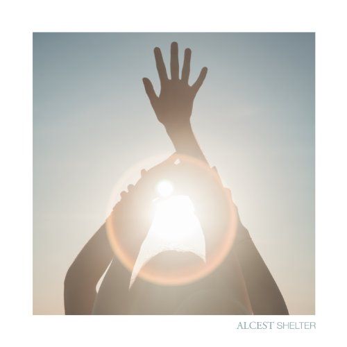 Shelter cover art