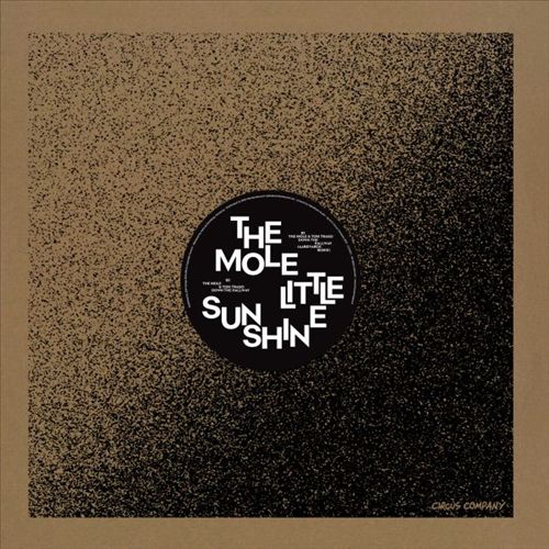 Little Sunshine cover art