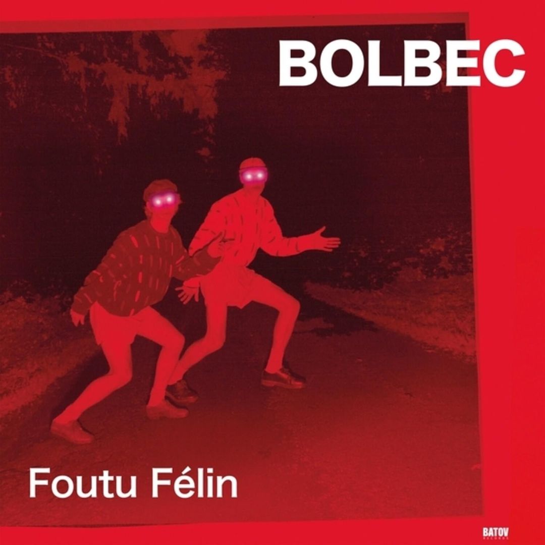 Foutu Félin cover art