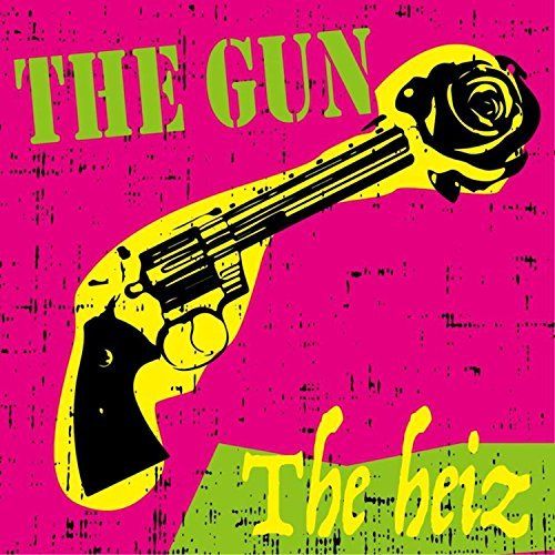 Gun cover art