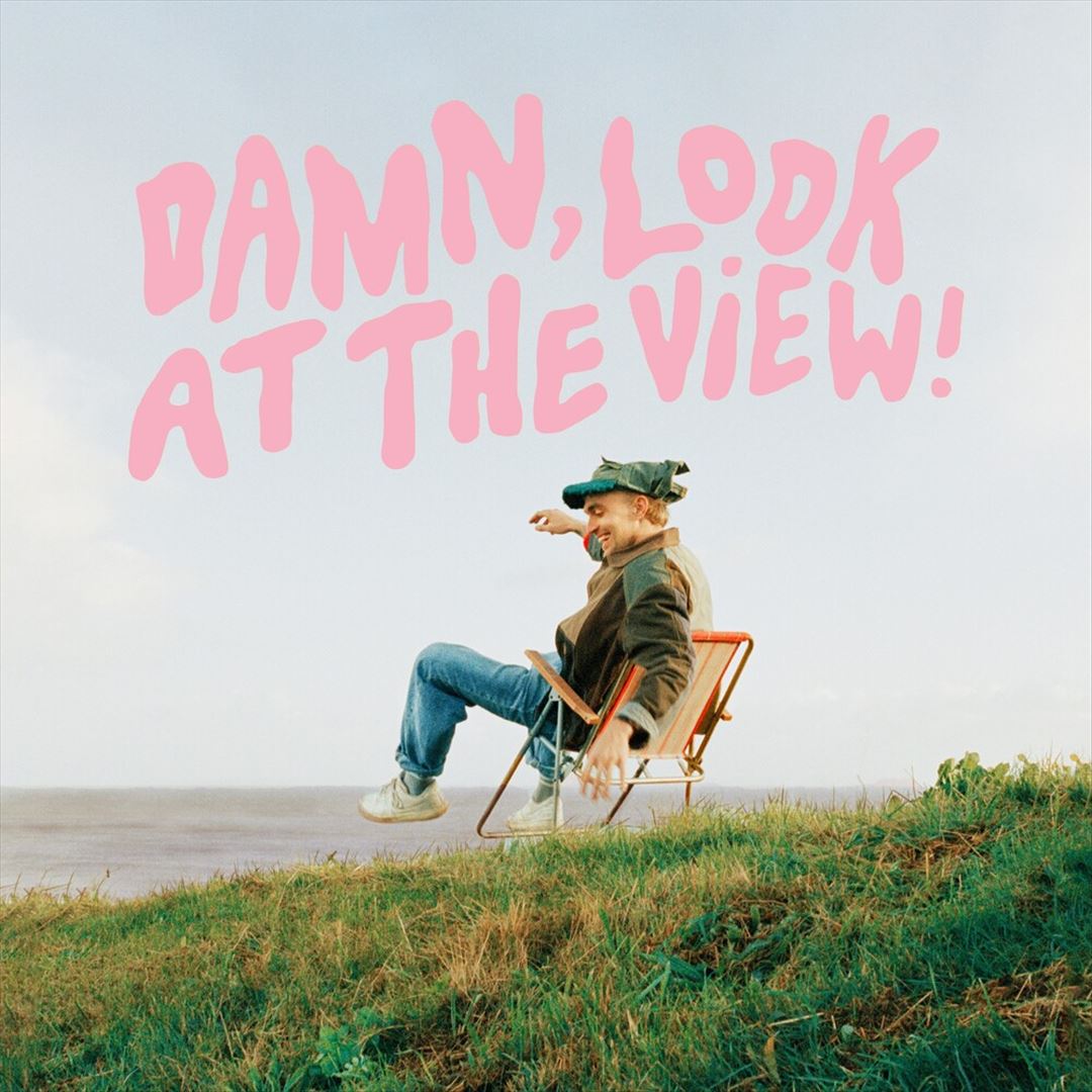 Damn, Look at the View! cover art