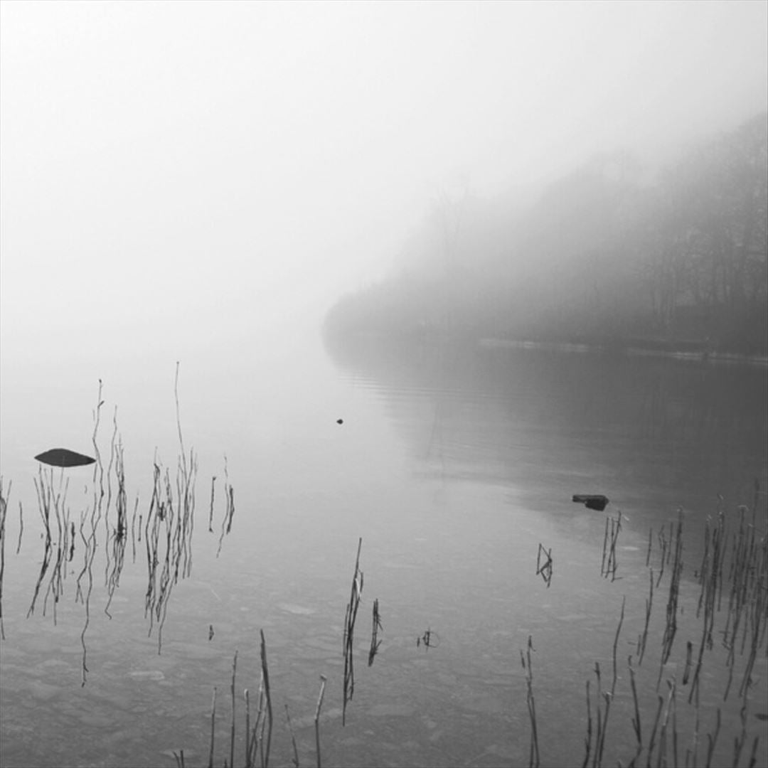This River Only Brings Poison cover art