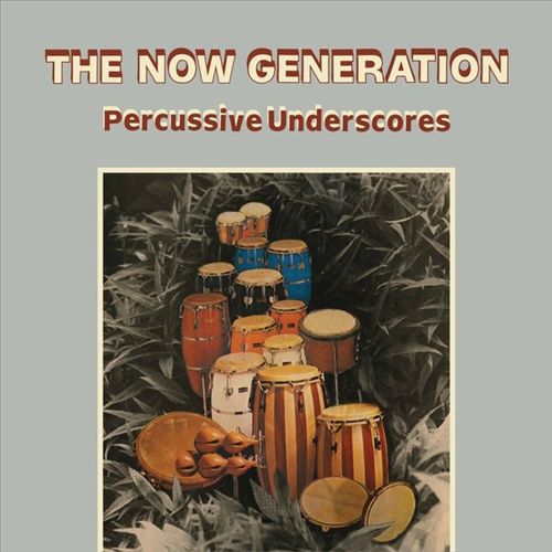 The Now Generation [Percussive Underscores] cover art