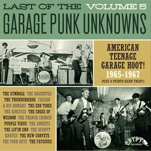 Last of the Garage Punk Unknowns, Vol. 5 cover art