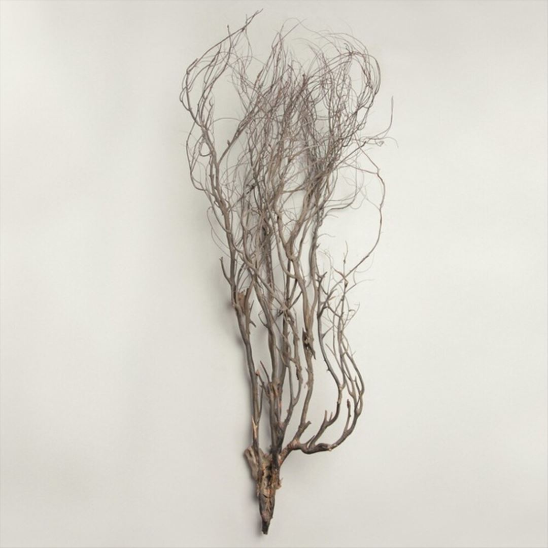 Mary Jane Leach: Woodwind Multiples cover art