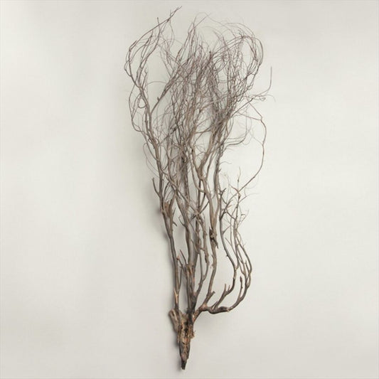 Mary Jane Leach: Woodwind Multiples cover art