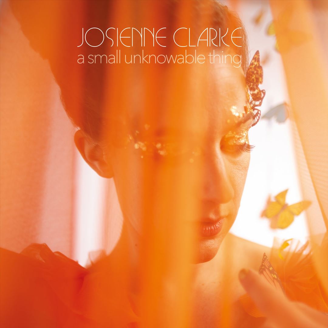 Small Unknowable Thing cover art