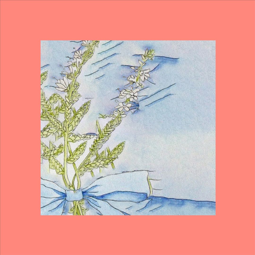 Crisis cover art
