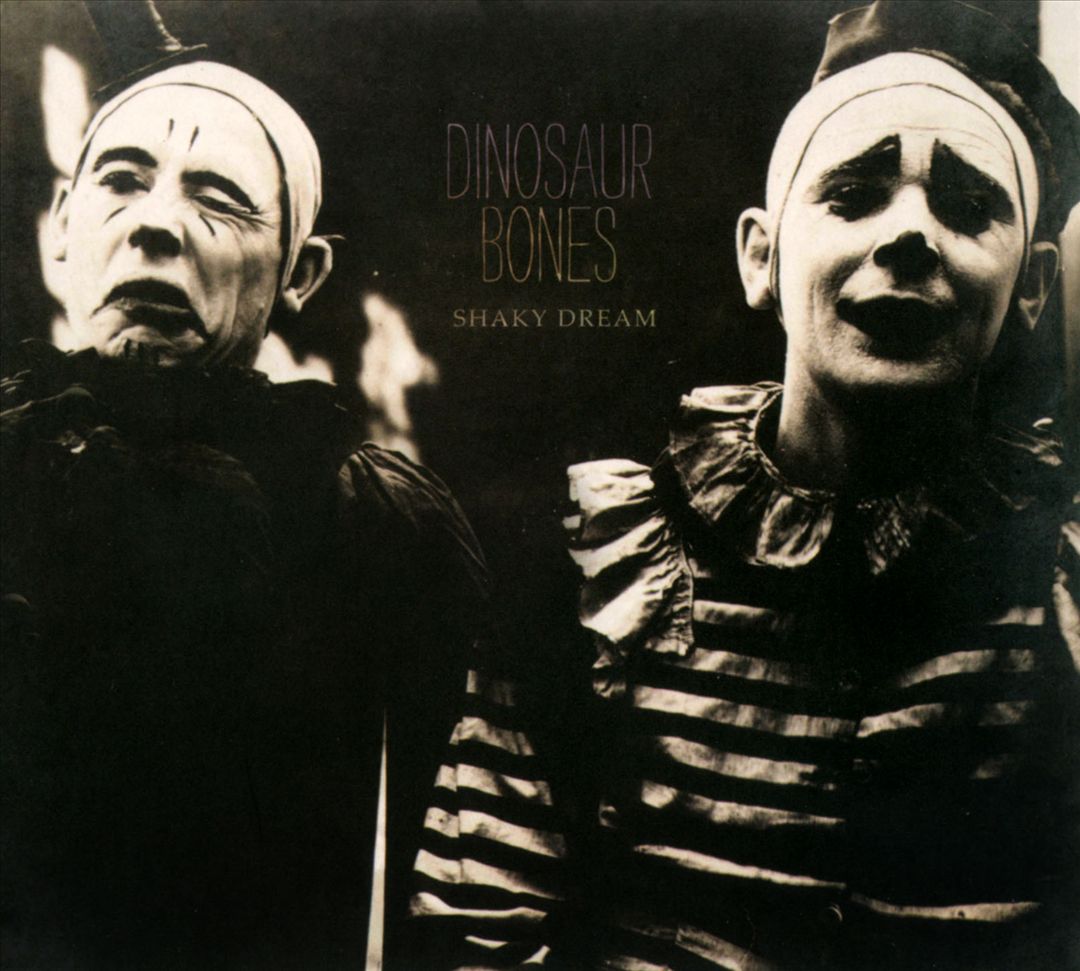 Shaky Dream cover art