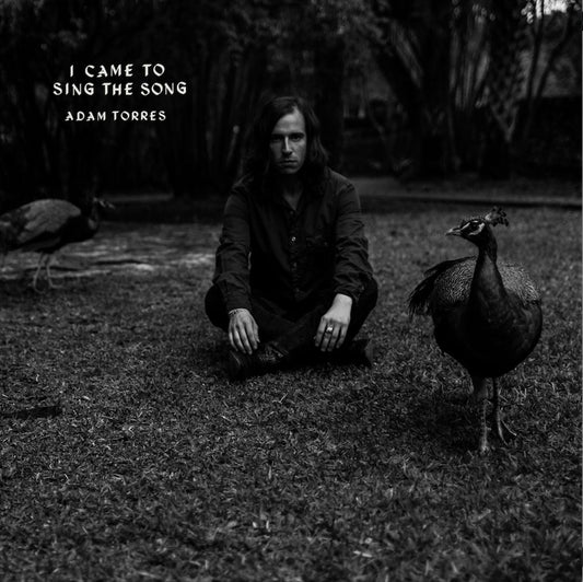 I Came to Sing the Song cover art
