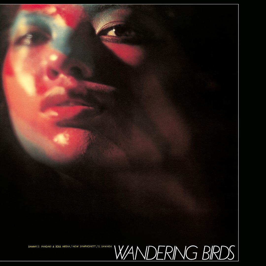 Wandering Birds cover art