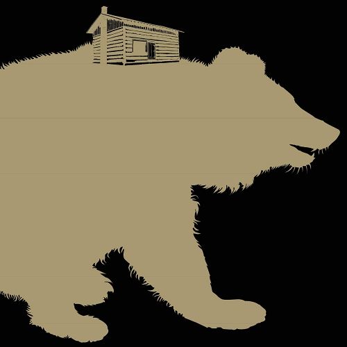 Young Mountain [Gold Vinyl] cover art