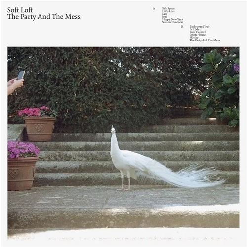 Party and the Mess cover art