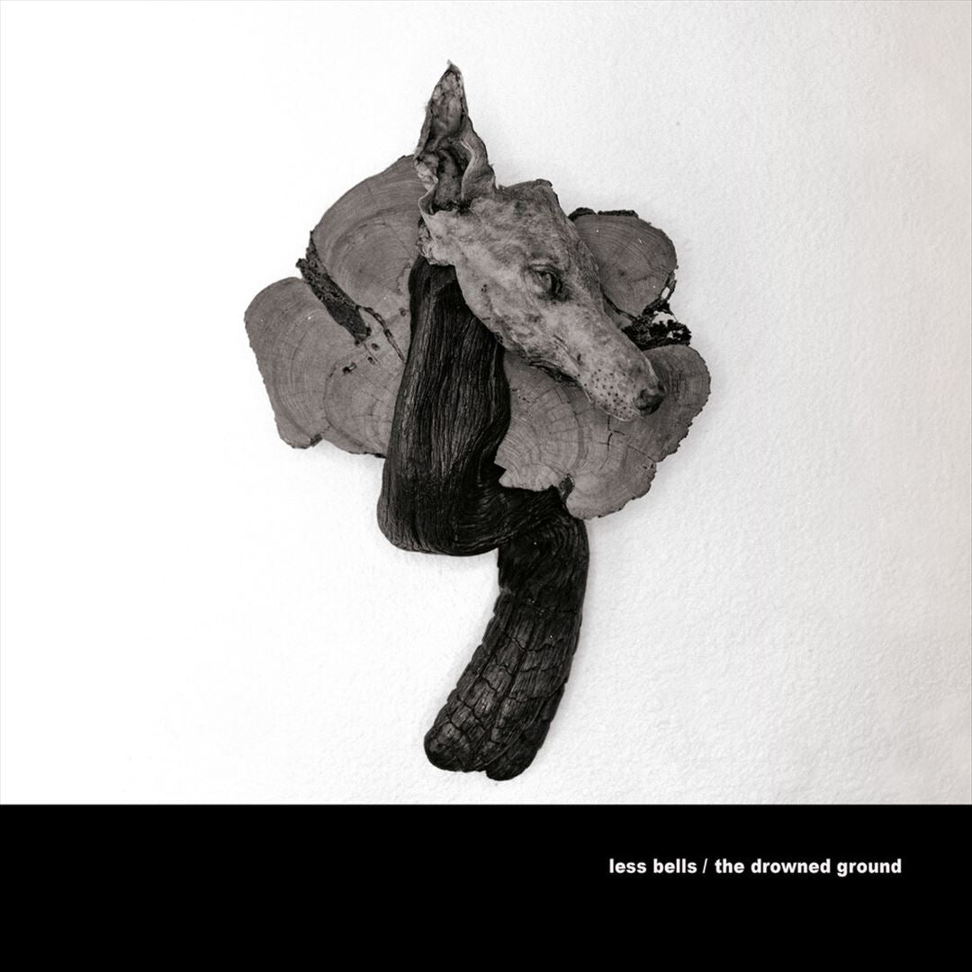 Drowned Ground cover art