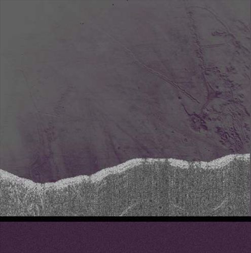 Apophenia cover art