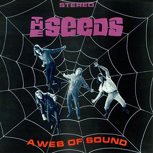 Web of Sound cover art