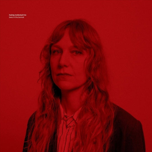 Bees In the Bonnet  cover art