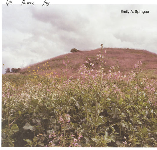 Hill Flower Fog cover art