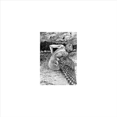 For the Birds cover art
