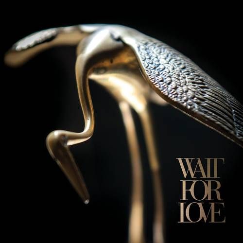 Wait for Love cover art