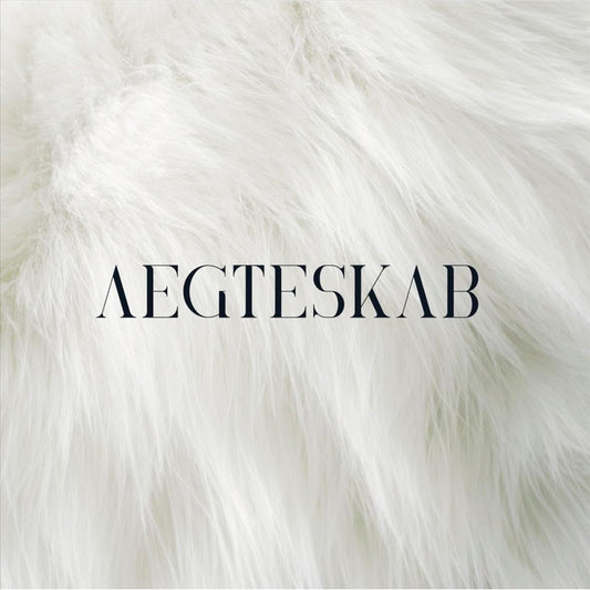 AEGTESKAB cover art
