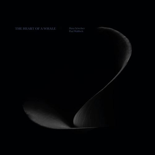 Heart of a Whale cover art