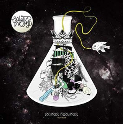 Salty Womb cover art