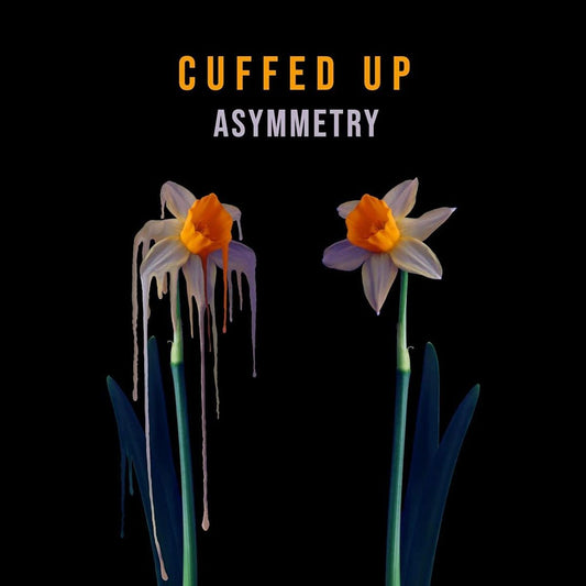 Asymmetry cover art