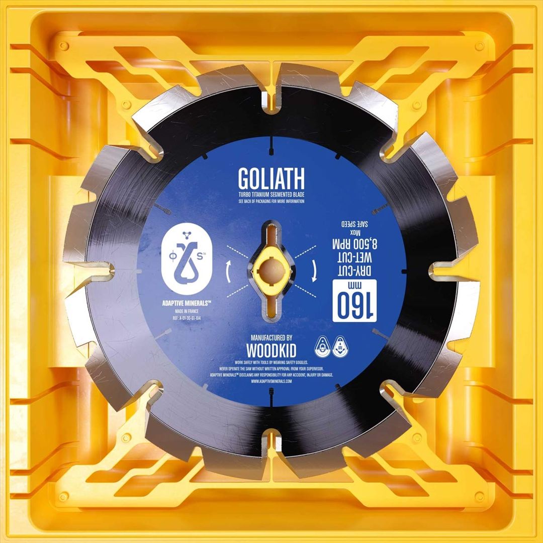 Goliath cover art