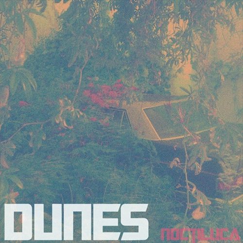 Noctiluca cover art