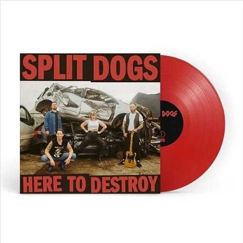 Here to Destroy cover art