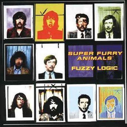 Fuzzy Logic cover art