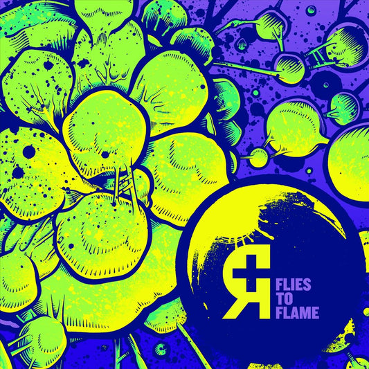 Flies to Flame cover art