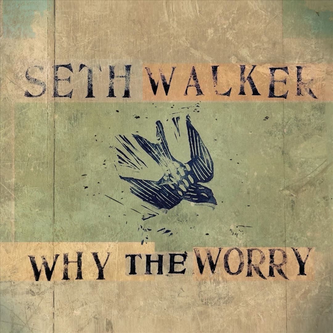 Why the Worry cover art