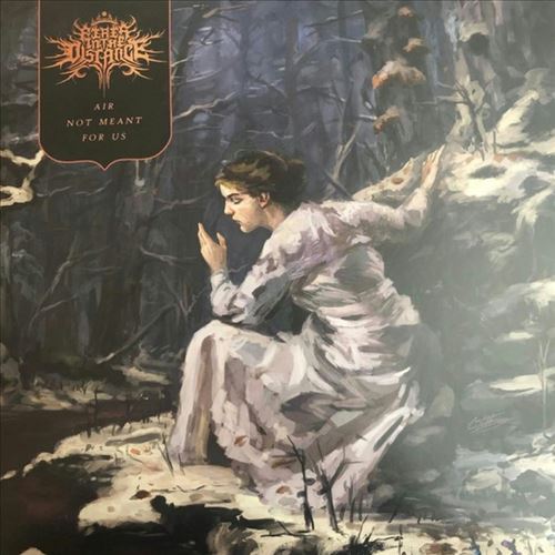 Air Not Meant for Us cover art