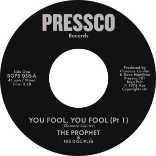 You Fool You Fool cover art