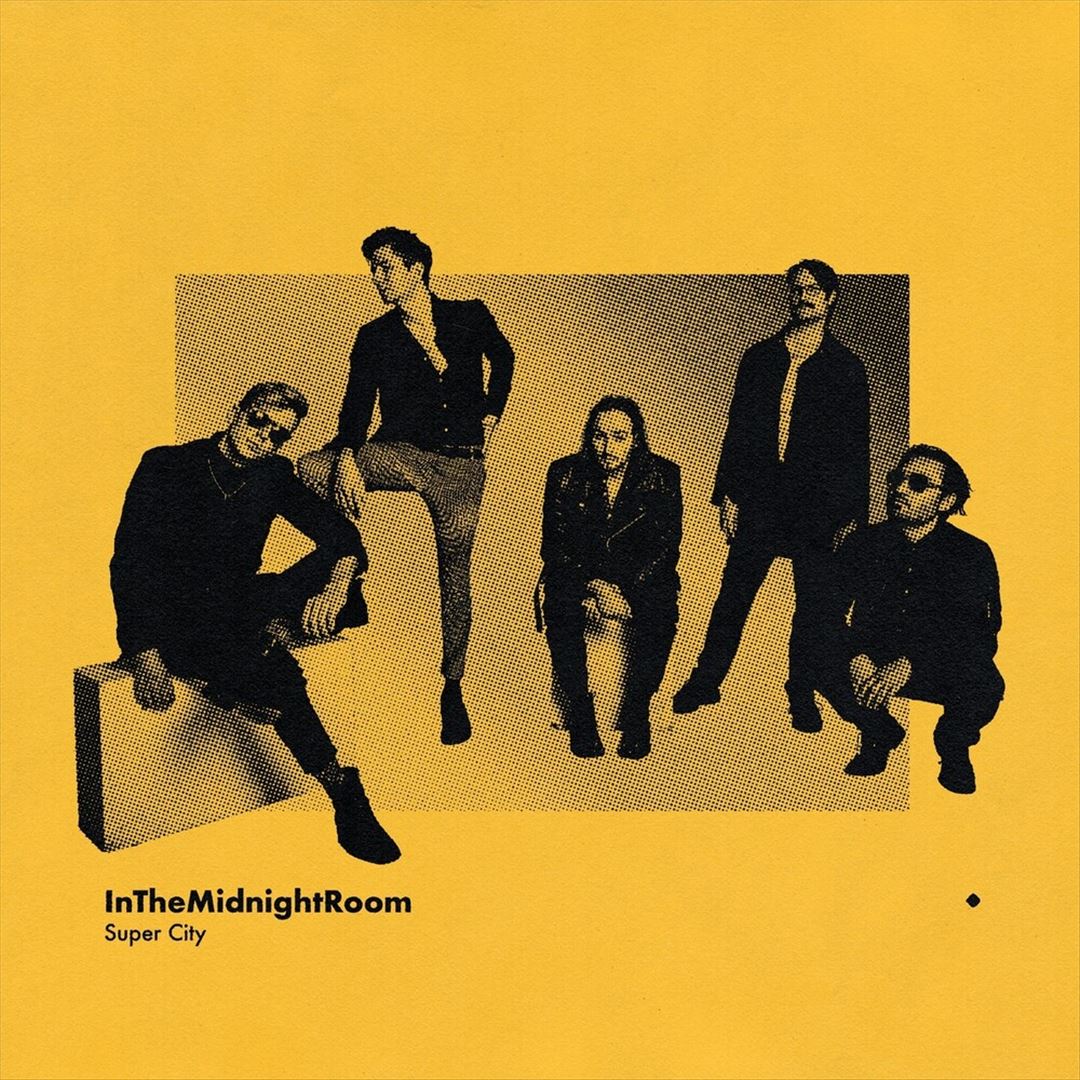 In the Midnight Room cover art