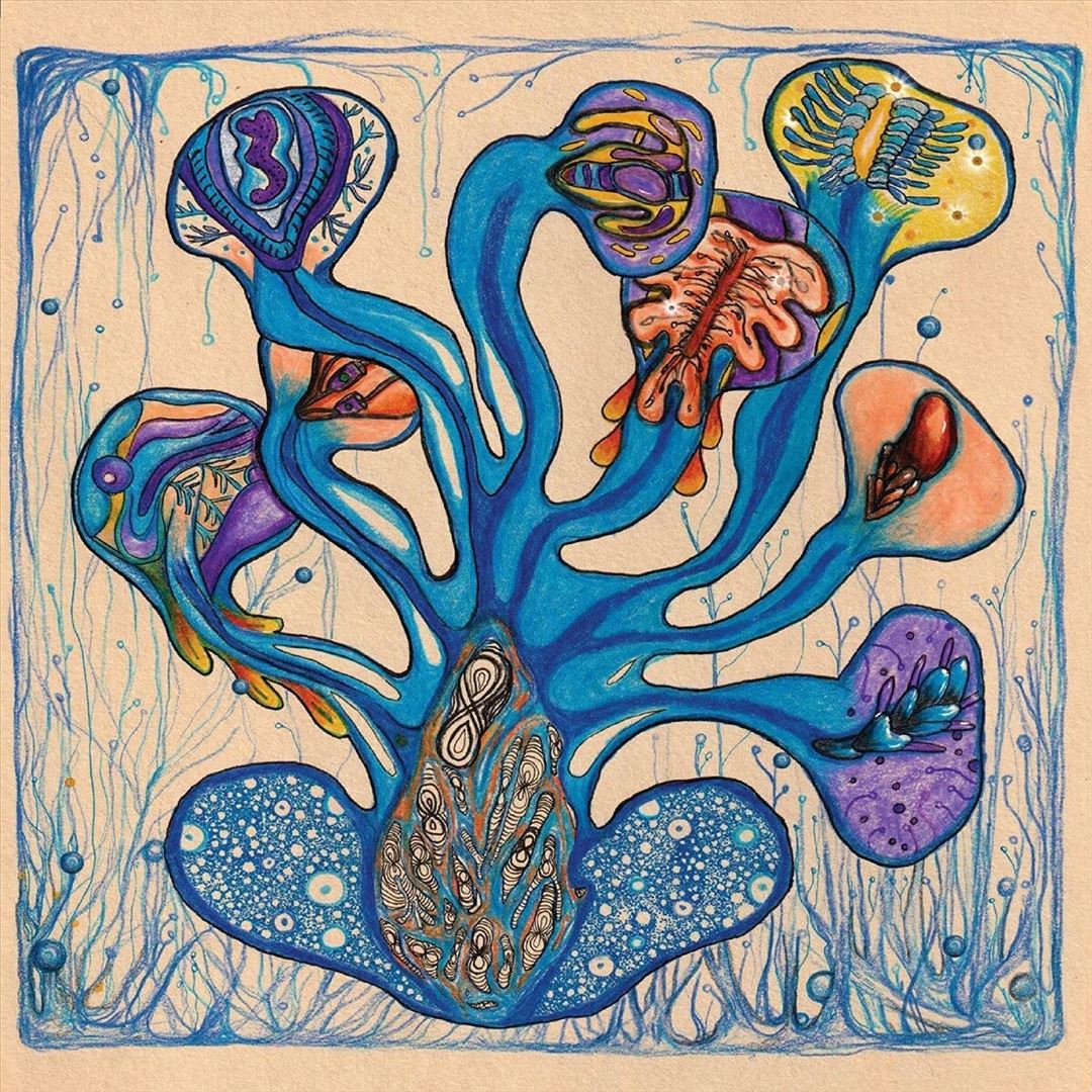 Fleuves de l'Âme cover art