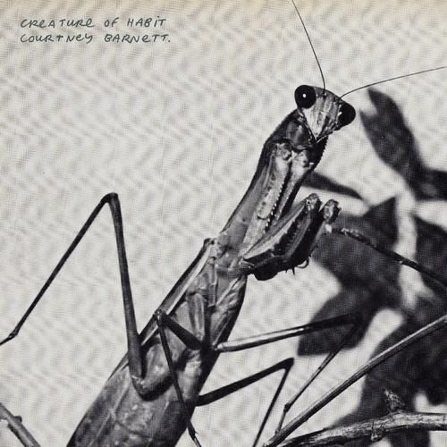 Creature of Habit cover art