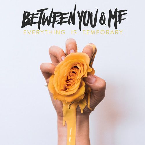 Everything Is Temporary cover art