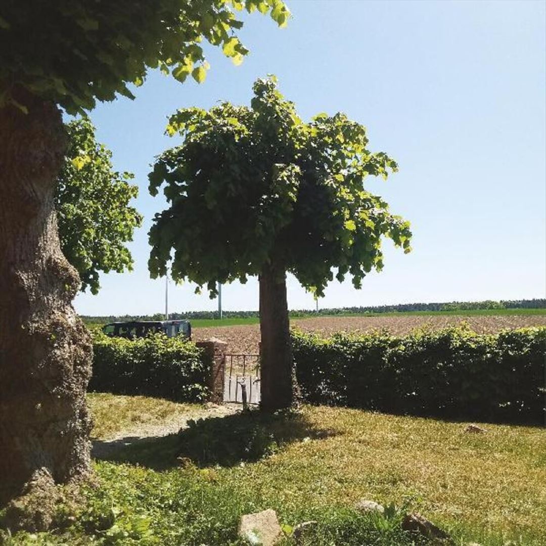 Into the Second Half cover art