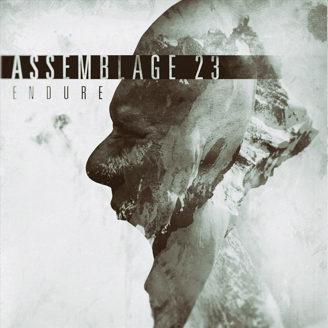 Endure cover art
