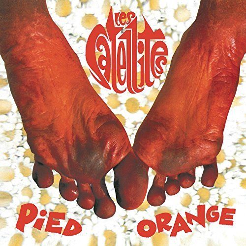 Pied Orange cover art