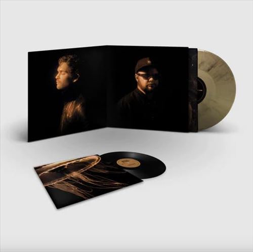 Back to the Water Below [Deluxe Gold Marble LP + 7" Single] cover art