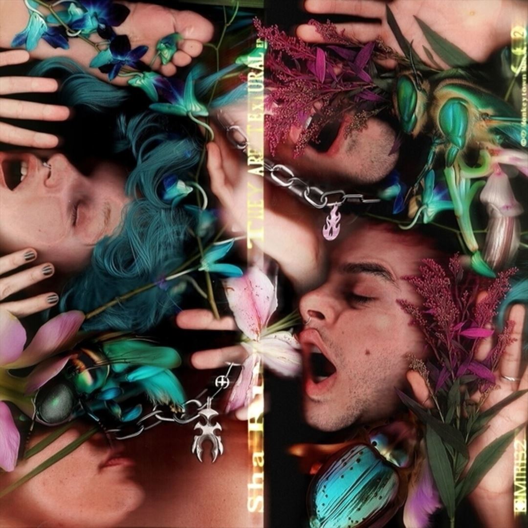 They Are Textural cover art