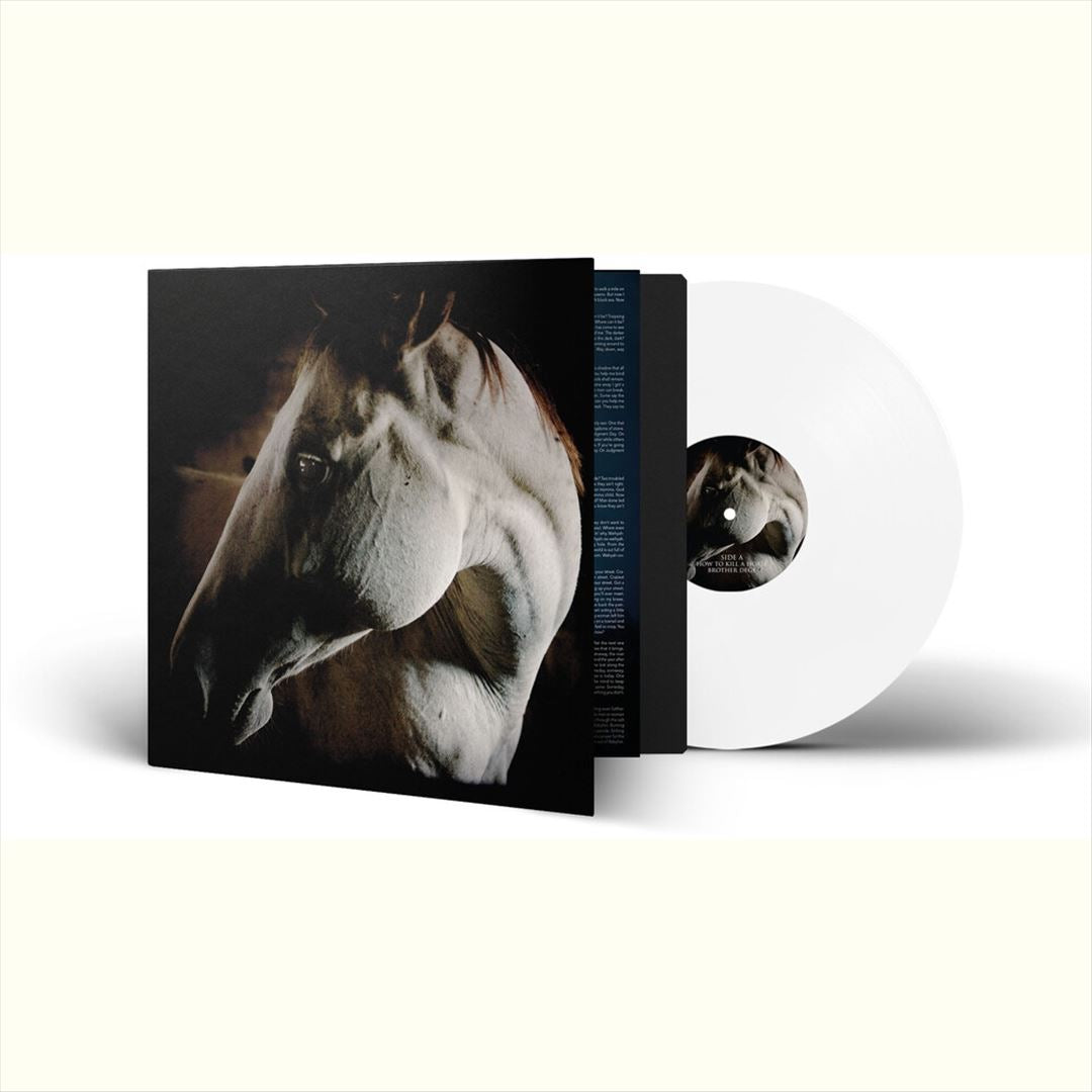 How to Kill a Horse cover art