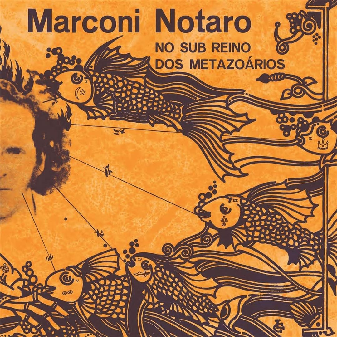 No Sub Reino dos Metazoários cover art