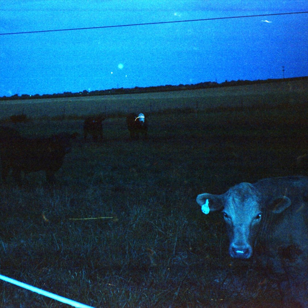 Antarctica cover art