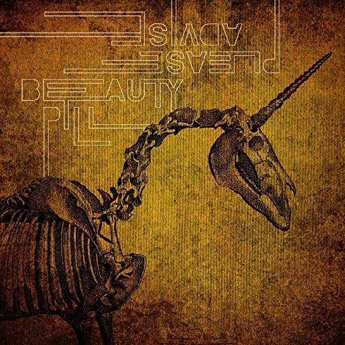 Please Advise cover art